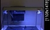 µ 䫴 18" +  + յ + ͧ͡ Ҥ 1,000 ҷ