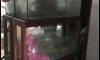 ��µ�� 36x12x12 ���2