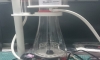 ʡ Bubble Magus Curve 5 