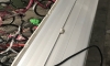 � T5HO 48" ��Ҿ��