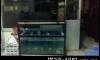 µͧ 48"  60" ҧЪش ԡ (طҤ) ا෾  