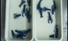 ¢ºʹ 100 ١ 2++ 3++