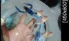   / 䫴 3"  2,500 觿 (.ͧ 094-7907726)