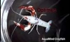 ¢ͧᾧ ŧԹ ١ Optimus  Ҩ ҡ Aqu@Mind crayfish