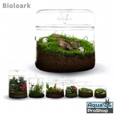 Bioloark Dew Cup Terrarium โหลแก้วเทอราเรี่ยม โหลเลี้ยงต้นไม้ MY-120 MY-150 MY-180