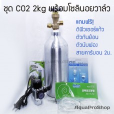 ชุดถัง CO2 2kg - Liquid Aqua Complete Set B พร้อมโซลินอยด์วาล์ว